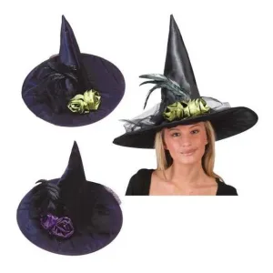 Fancy Feather Witch Hat