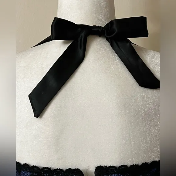 Fredericks of Hollywood Dream Halter Corset blue with black lace  lace up 38 EUC