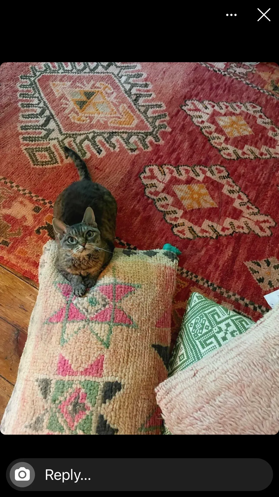 Nomade Pillow Jade