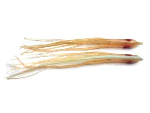 NORTH PACIFIC NEEDLE FISH LGM92