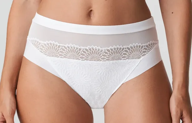 Sophora Full Brief 0563181